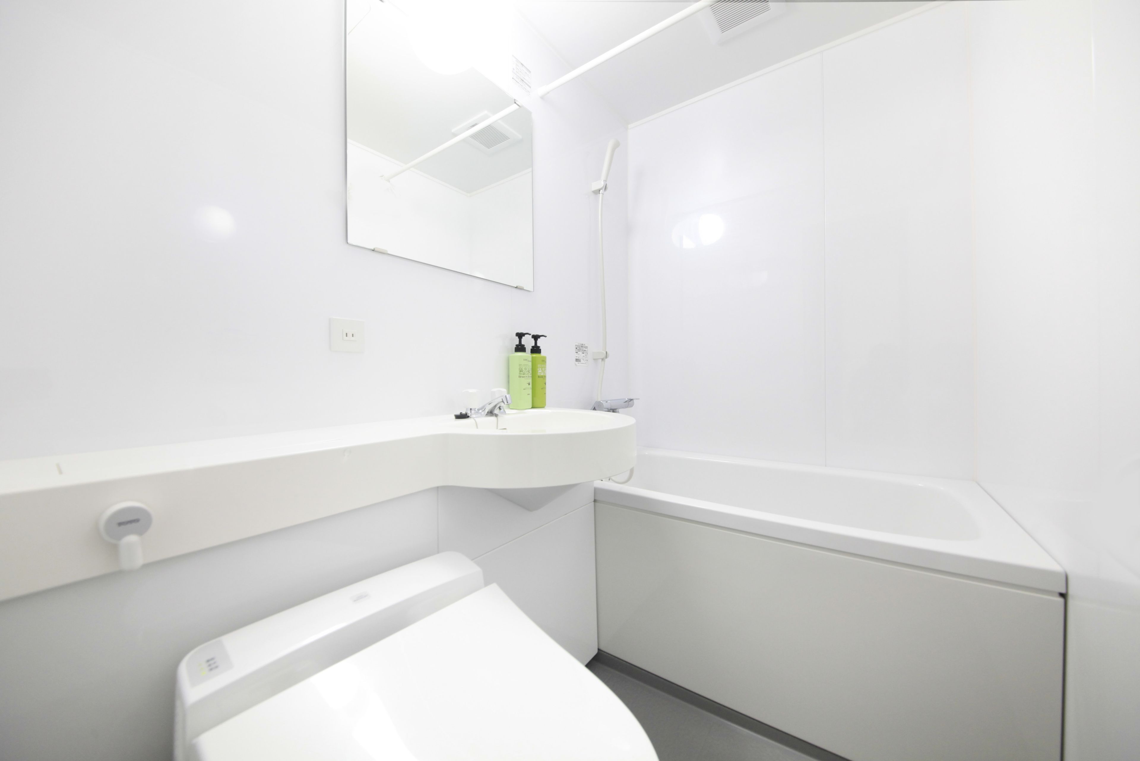 combined shower/bathtub, free toiletries, hair dryer, electronic bidet