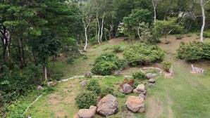 A landscaped garden with a winding path, large rocks, and various trees.