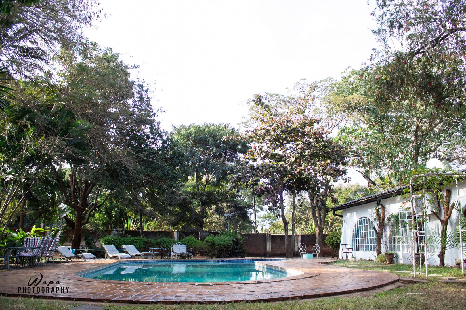 Outdoor pool, pool loungers