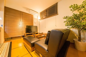 Flat-screen TV