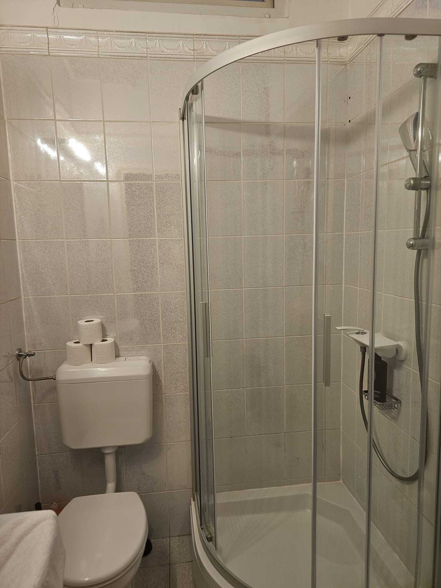 Un baño con inodoro, ducha con mampara de vidrio y pared de azulejos.