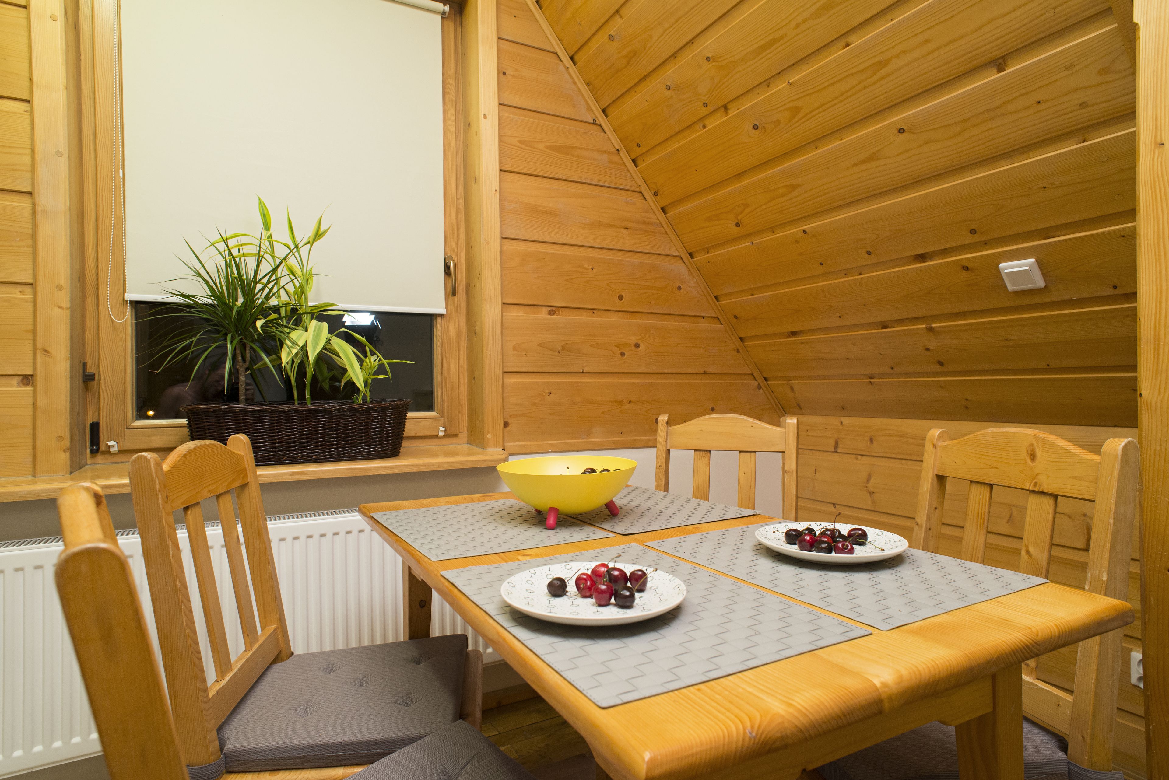 apartment, 1 bedroom, fireplace | private kitchen | fridge, microwave, stovetop, dishwasher