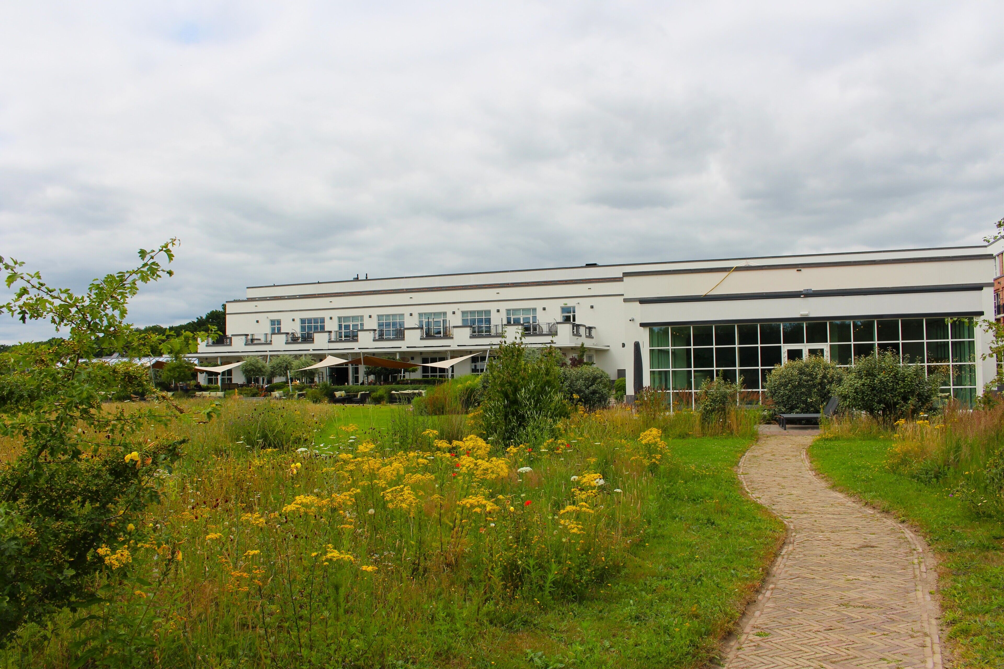 A building with a paved pathway leading to a large entrance, surrounded by greenery and yellow flowers.