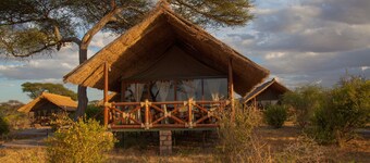 Tarangire Simba Lodge