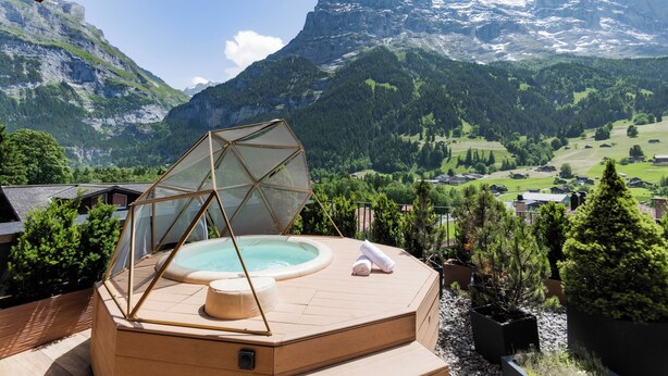 Un bain à remous doté d’une enceinte en verre, entouré de plantes en pot, avec un paysage montagneux en toile de fond.