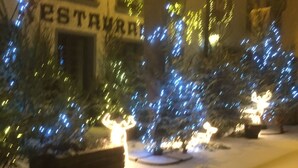 Calle nevada con árboles de Navidad iluminados y un edificio con un letrero que dice 'ESTRURR'.