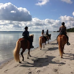 Plage, pêche sur place