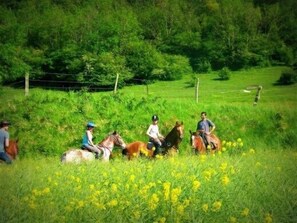 Sports facility - Au Mesnil Le Bas Bray (Bures-en-Bray)
