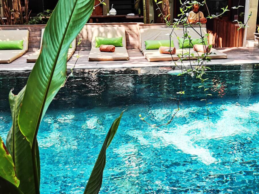 Una piscina al aire libre, sombrillas, sillones reclinables de piscina