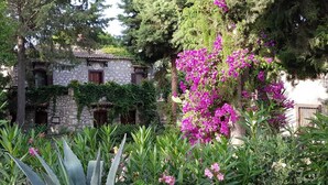 A stone building with ivy and a vibrant pink flowering tree in a lush garden.