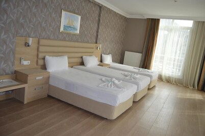 Hotel Kale Palace