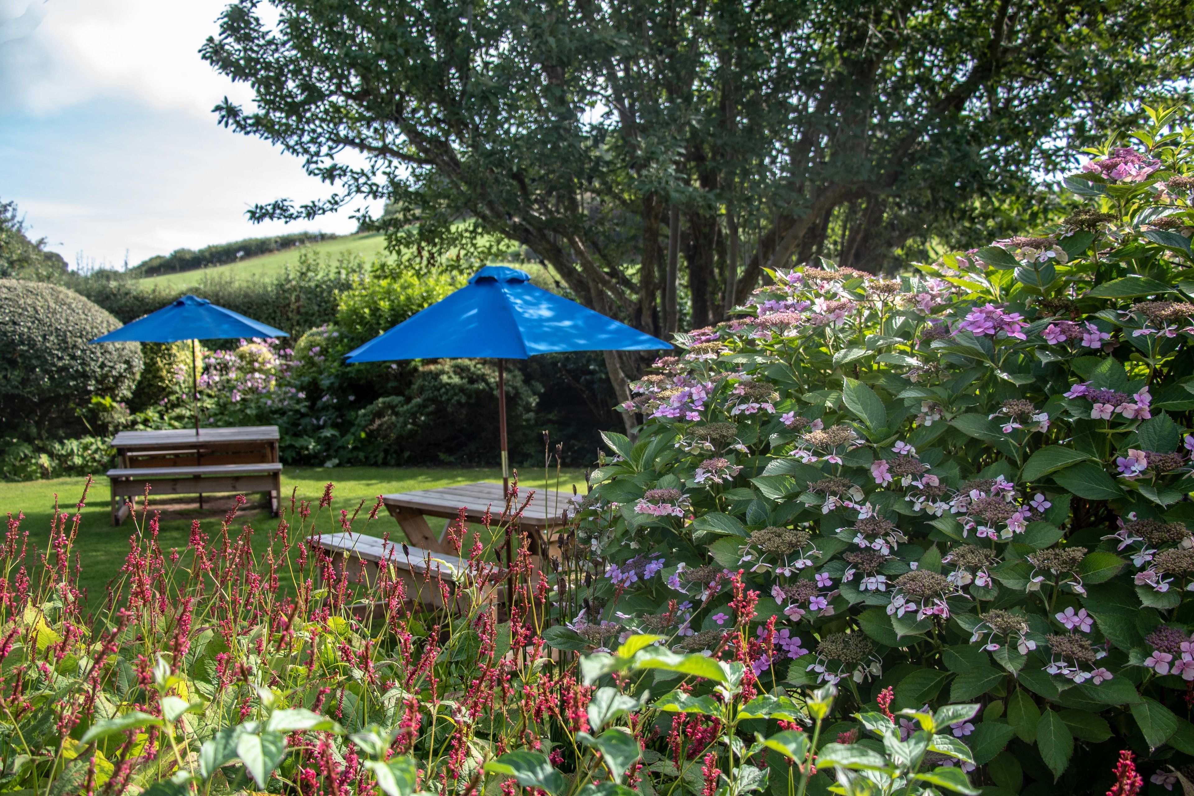 A garden with benches and blue umbrellas, surrounded by lush greenery and flowering plants.