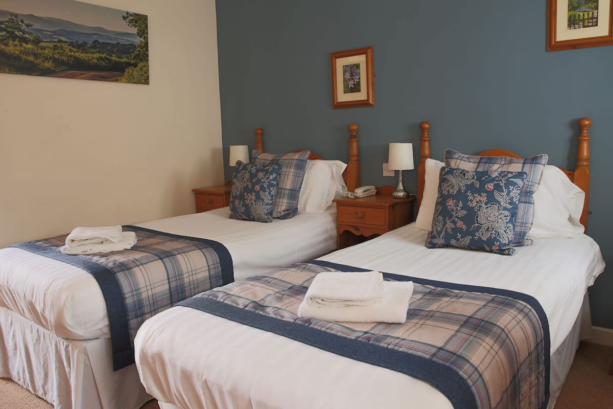 Habitación estándar con 2 camas individuales, 2 camas individuales, vistas al jardín | Sábanas de algodón egipcio, ropa de cama de alta calidad, escritorio