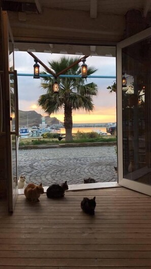 View from property - Kale Motel (Gökçeada)