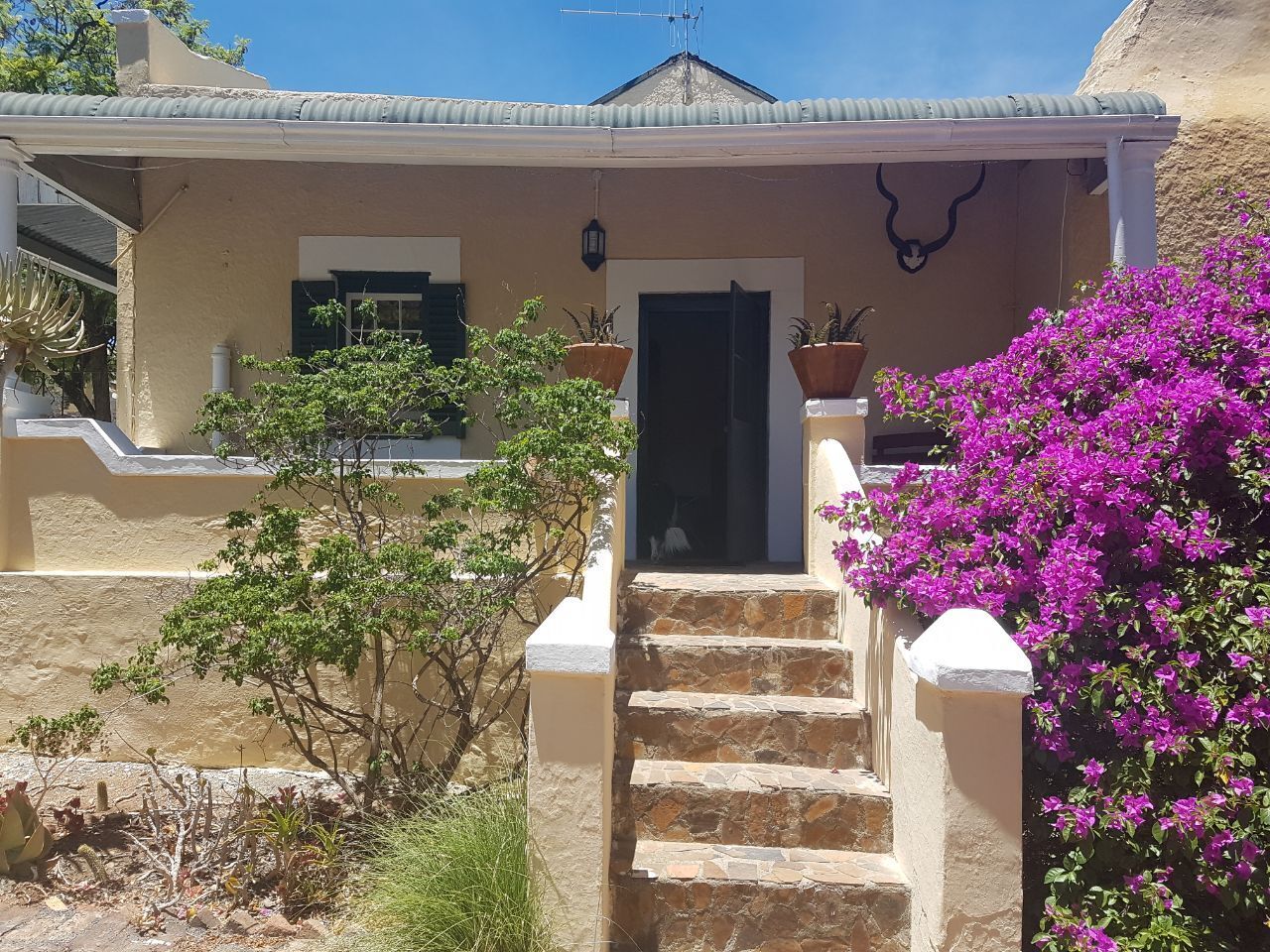 A house with a stone staircase leading to a door, surrounded by greenery and purple flowers.