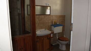 A small bathroom with a wooden vanity, a sink, a toilet, and a mirror.