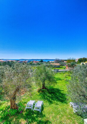 A coastal landscape with olive trees and a clear blue sky. - Blue Story Apartments (Fazana)