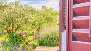 A stone pathway leading to a rustic building with wooden shutters. - Blue Story Apartments (Fazana)