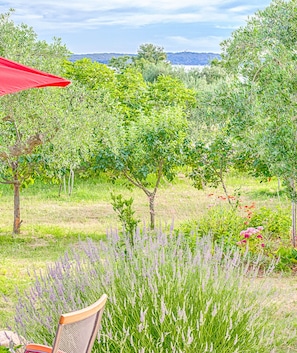 An outdoor seating area with a red umbrella, surrounded by lush greenery and lavender plants.