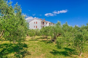 A white building with red shutters, surrounded by olive trees.