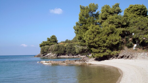 A beach with clear water, a sandy shore, and dense green trees. - Alterra Vita (Sithonia)