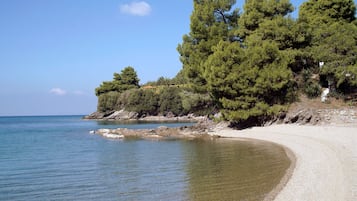 Perto da praia, guarda-sóis, prática de mergulho livre no local