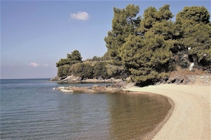 Una playa cerca, snorkel, 6 bares en la playa, paseos en velero