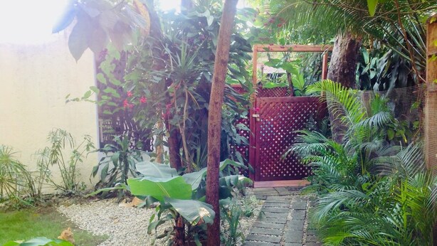 Un sentier de jardin menant à une porte en bois, entouré d’une végétation luxuriante et de plantes.