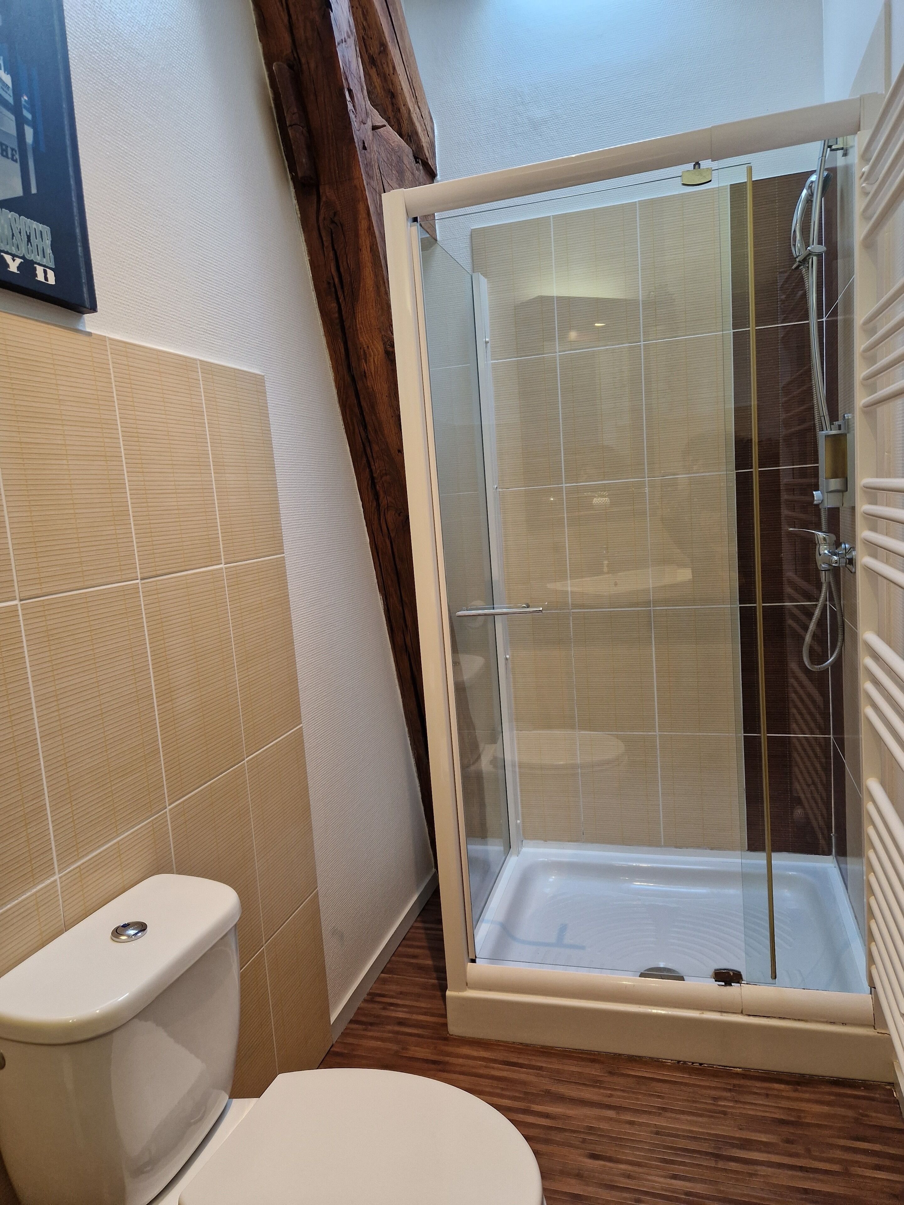 A bathroom with a glass-enclosed shower, a toilet, and wooden flooring.