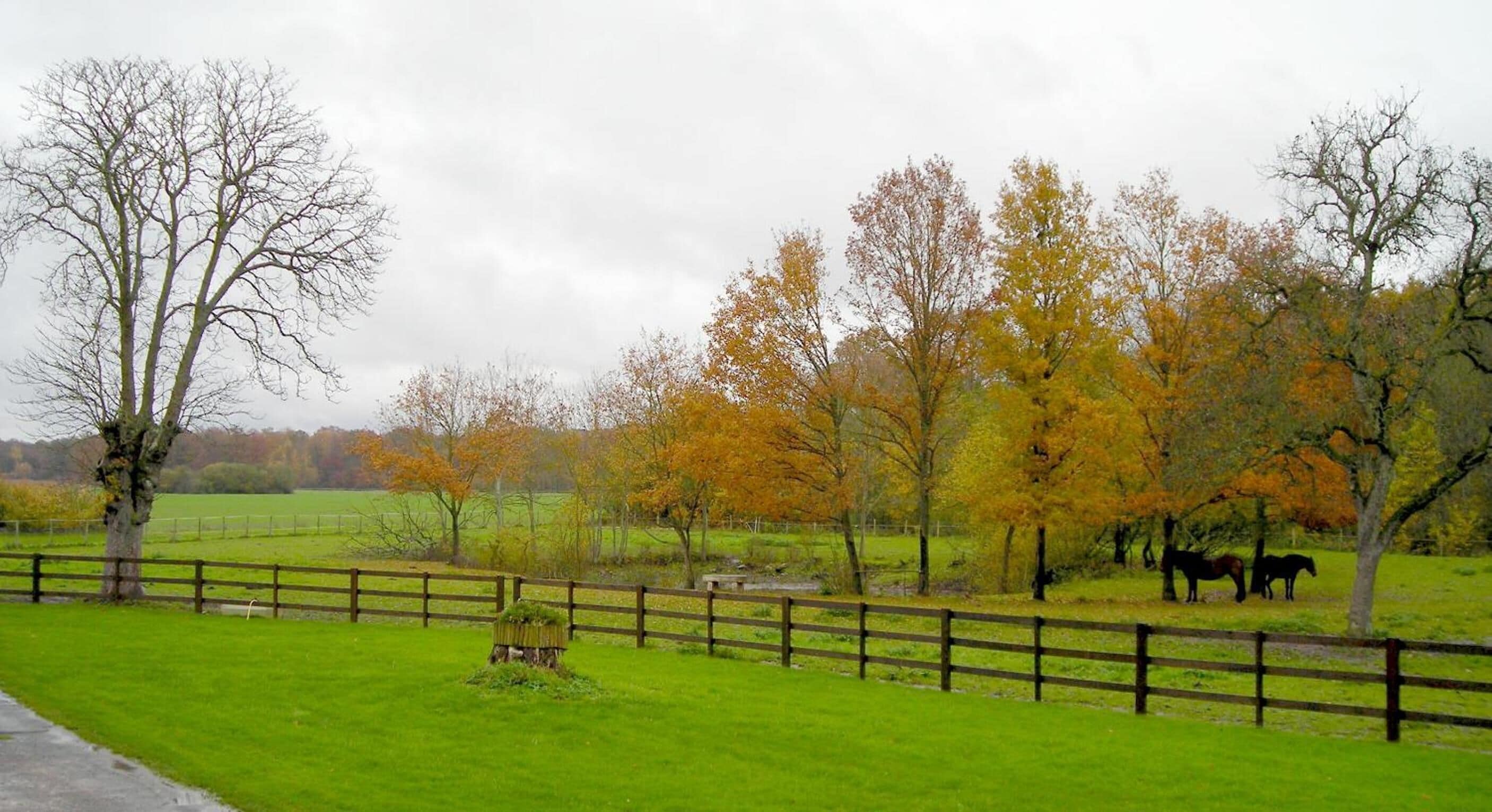 Un paysage rural avec une clôture en bois, de l’herbe verte et des arbres aux feuilles d’automne.