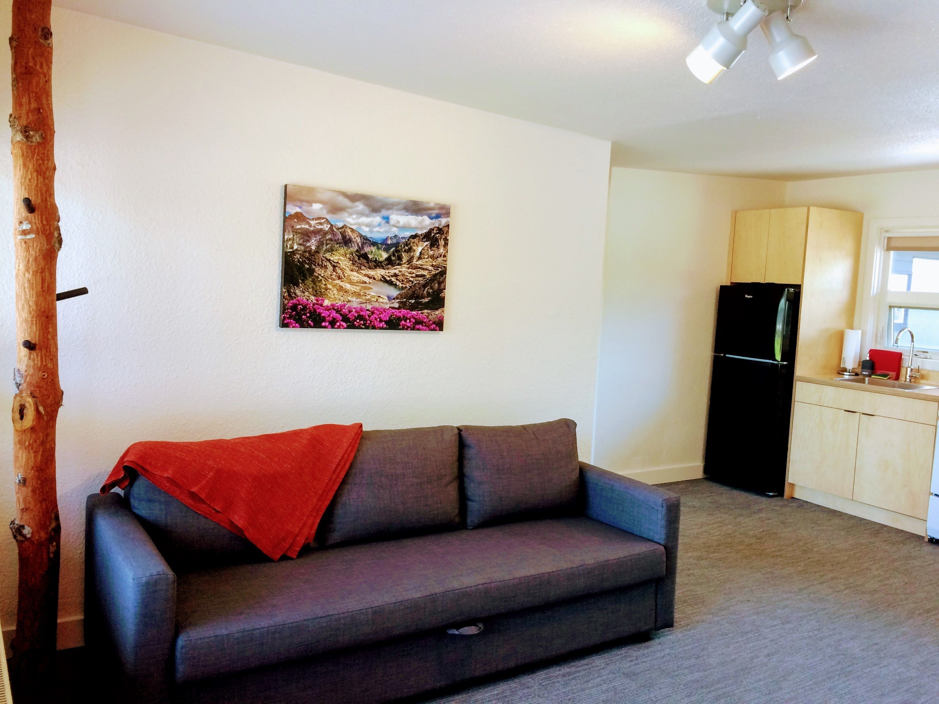 suite, 1 bedroom, kitchenette | living area | tv