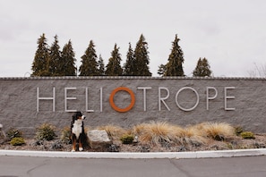 Front of property - Heliotrope Hotel (Bellingham)
