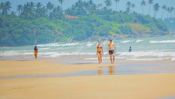 A beach with palm trees and a person walking on the sand. - Kings Villa (Matara)