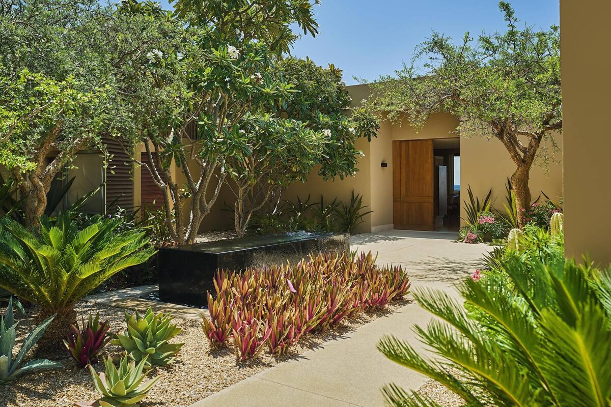 A courtyard with a pathway, various plants, and a building entrance.
