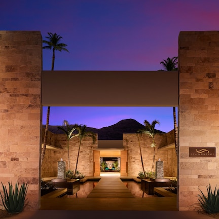 A modern spa entrance with a wooden pathway leading to a reception area, flanked by palm trees and stone pillars.