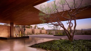 A modern architectural space with a wooden ceiling, a central tree, and a reflective floor.