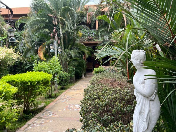 Vista al jardín