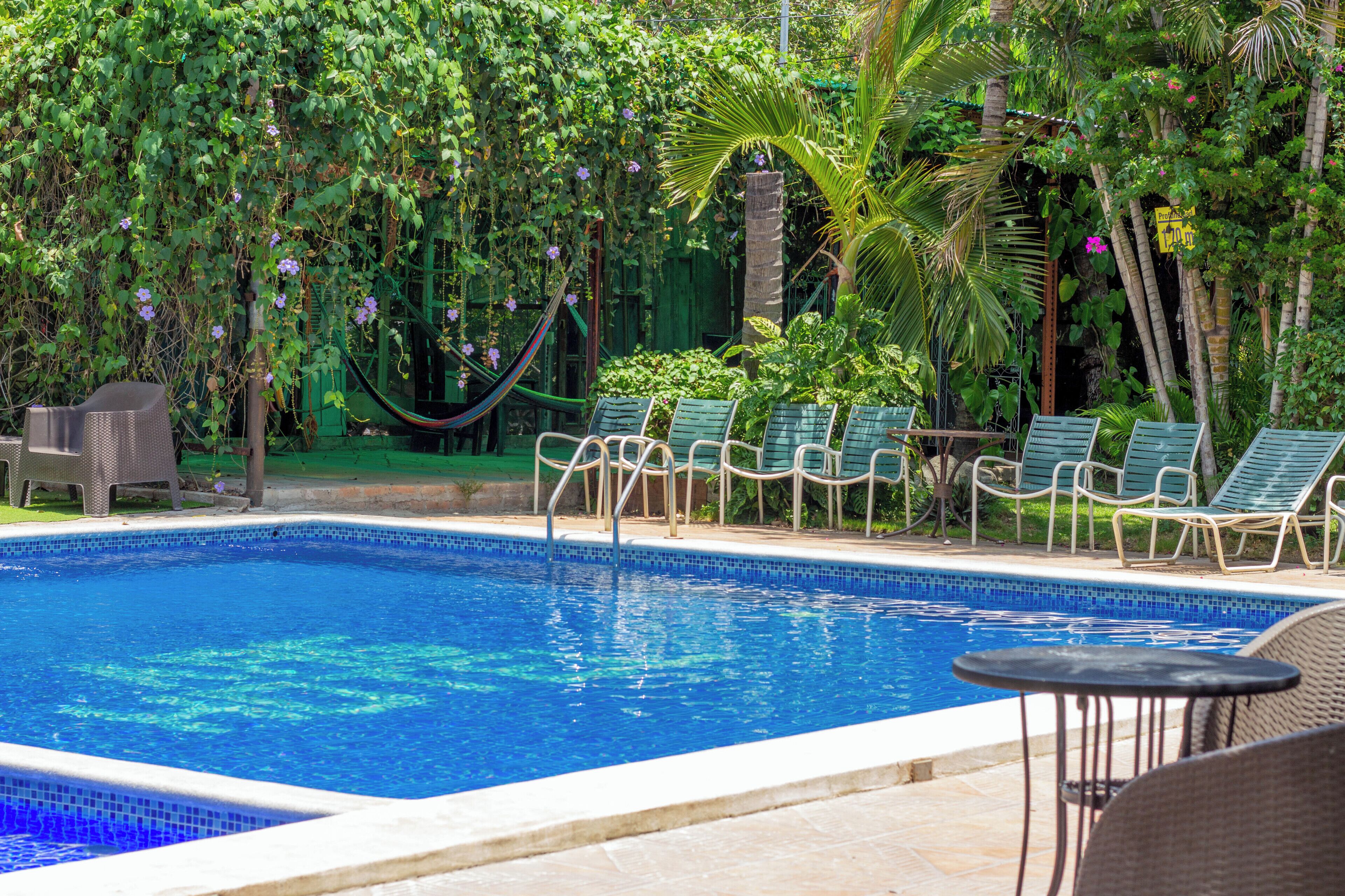 A swimming pool with lounge chairs and a hammock, surrounded by lush greenery.