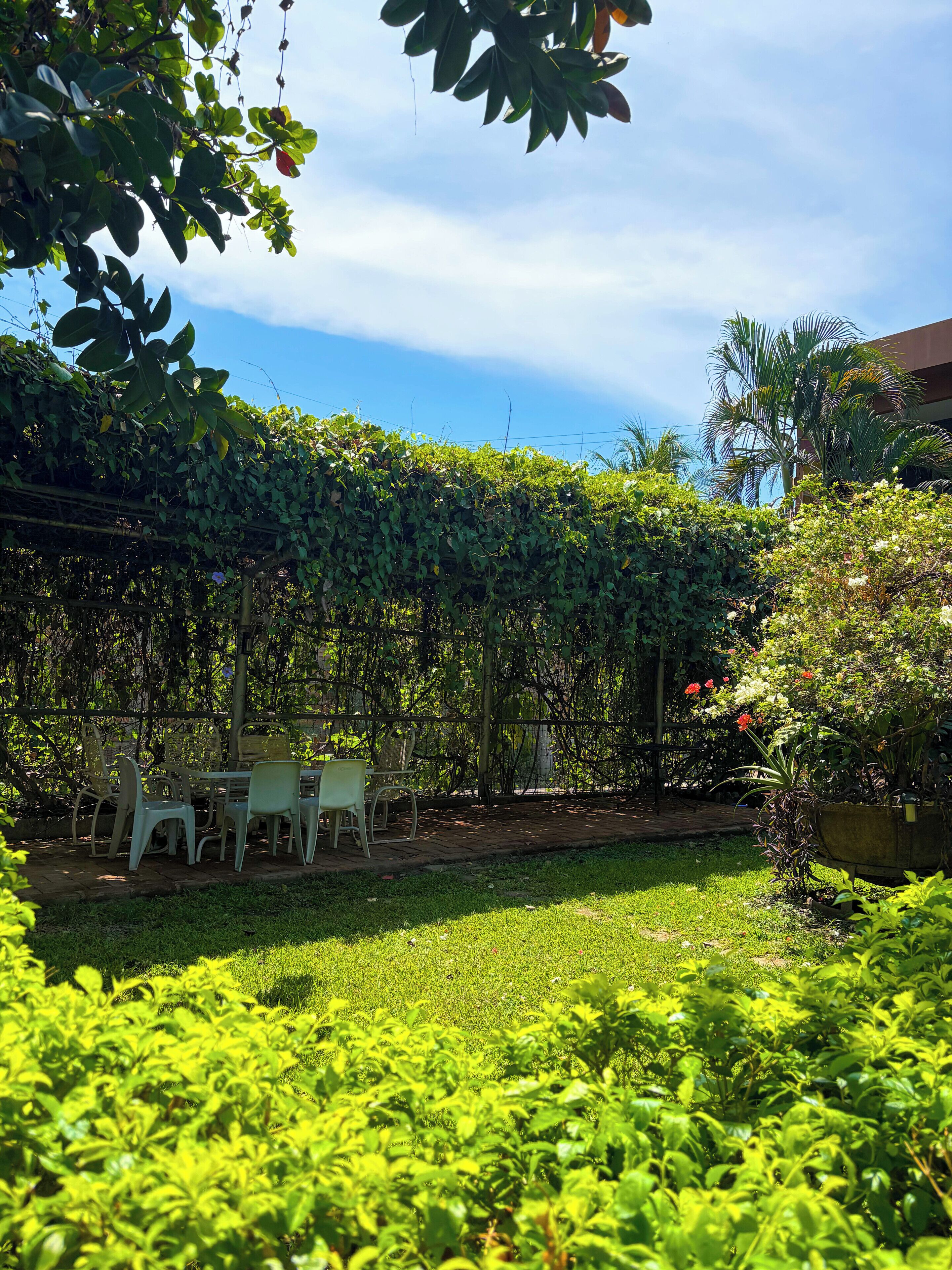 A garden with a table and chairs, surrounded by lush greenery and a clear sky.