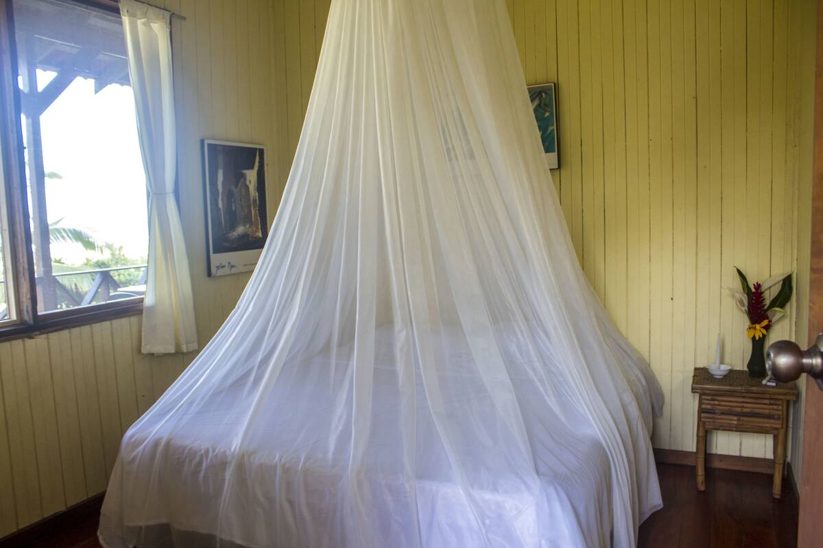 A room with a bed under a white canopy, a small wooden nightstand with a vase of flowers, and a framed picture on the wall.
