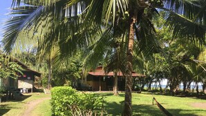 A tropical setting with a palm tree, a hammock, and a small building with a red roof. - Casa Grande Ecolodge at Pacuare Reserve (Matina)