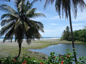 A beach with palm trees, a river, and a view of the ocean. - Casa Grande Ecolodge at Pacuare Reserve (Matina)