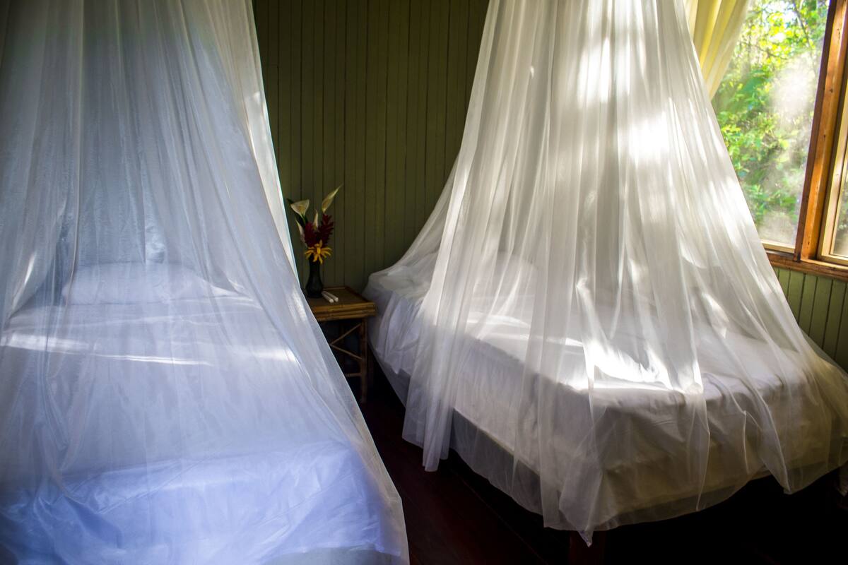 Two beds with white canopies, a small table with a vase, and a window with a view of greenery.