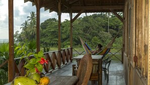A wooden deck with a hammock, a table with fruits, and a view of a lush forest. - Casa Grande Ecolodge at Pacuare Reserve (Matina)