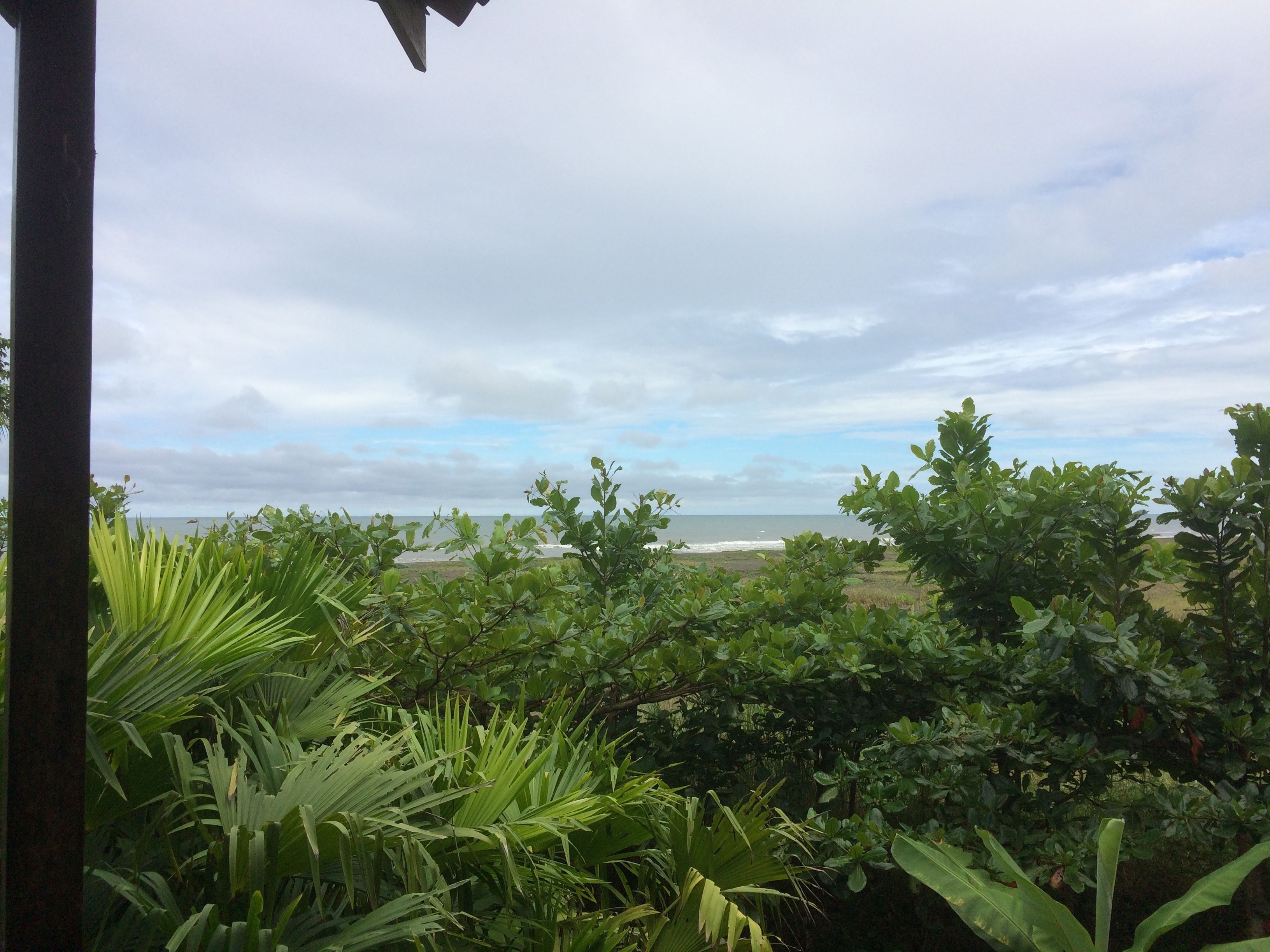 A view of a beach with lush greenery in the foreground and a cloudy sky.