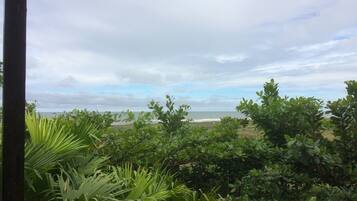 A view of a beach with lush greenery in the foreground and a cloudy sky.