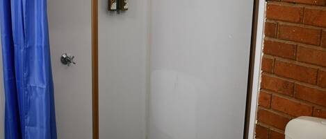 A glass-enclosed shower stall with a white toilet next to it.