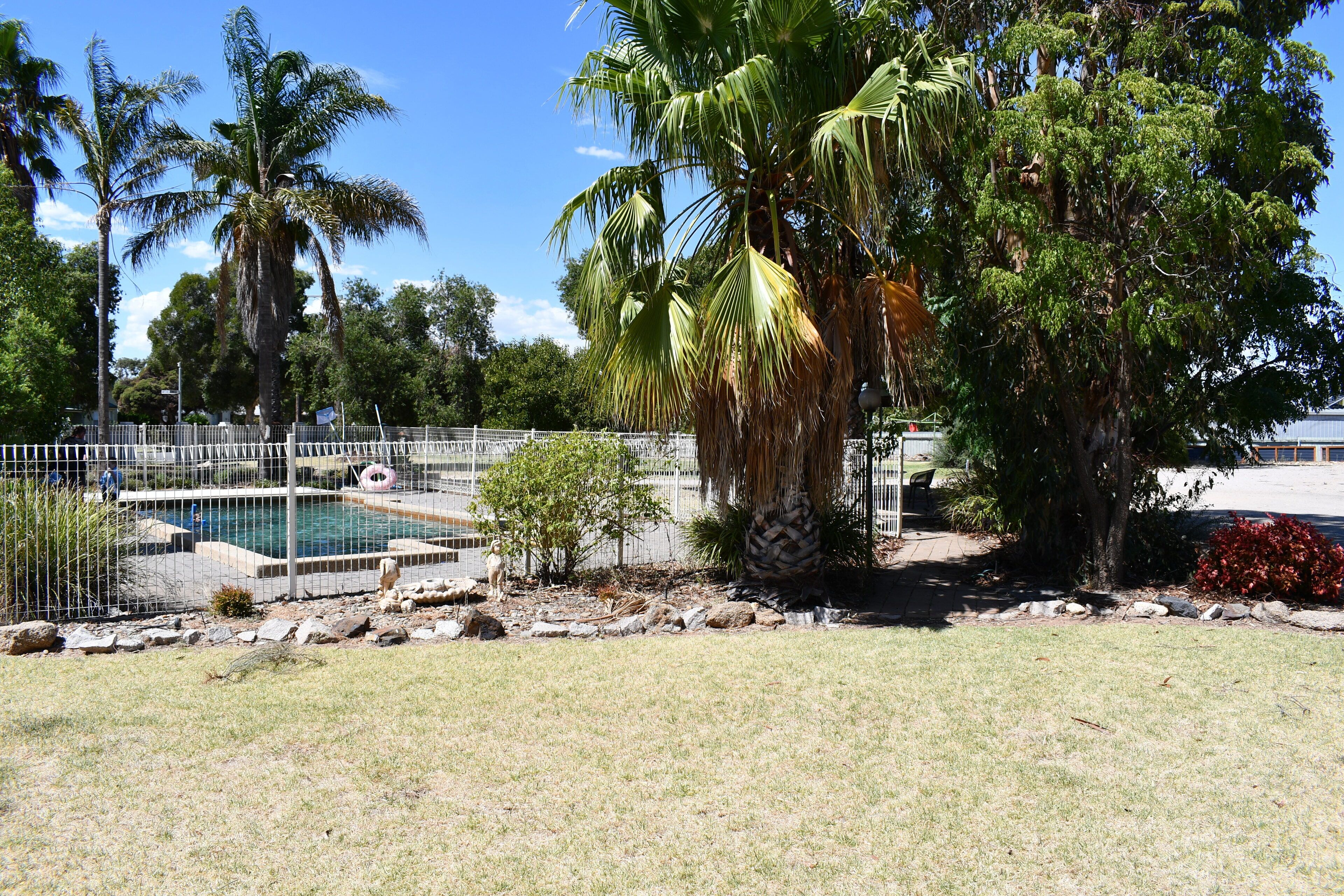 Un espacio exterior cercado con piscina, palmeras y un pequeño jardín.