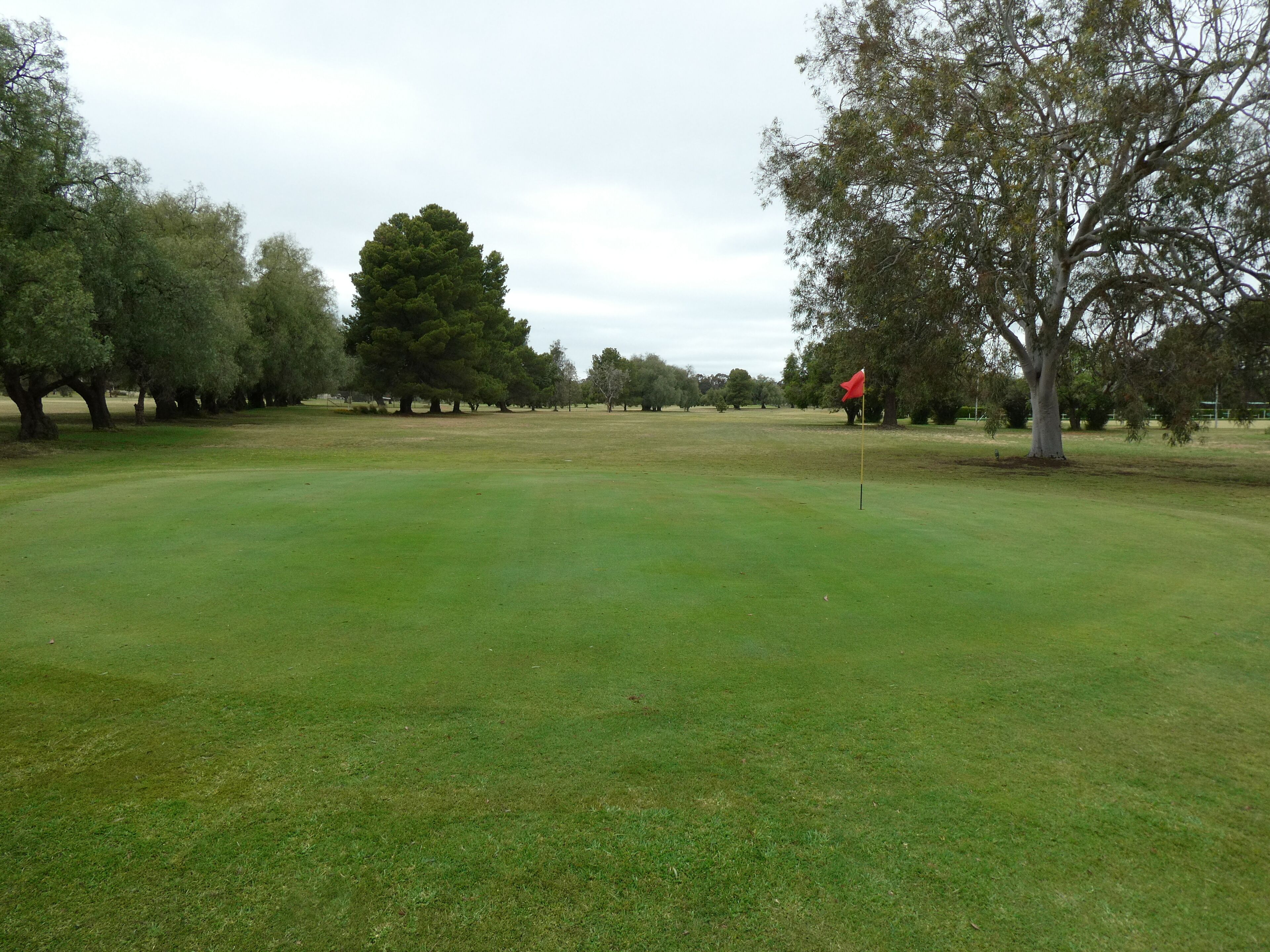 A golf course with a flagstick in the distance, surrounded by trees.