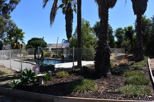 Un área exterior cercada con piscina, palmeras y un jardín con diversas plantas.